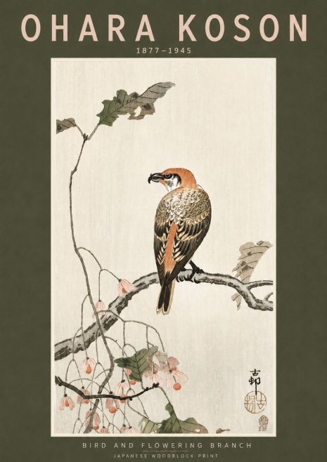 Ohara Koson Bird and Flowering Branch No3 - Plakat