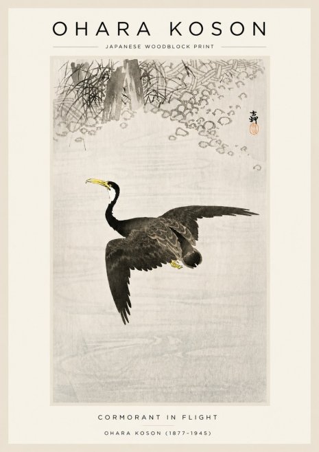 Ohara Koson Cormorant in Flight No3 - Plakat