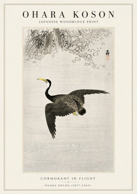Ohara Koson Cormorant in Flight No5 - Plakat