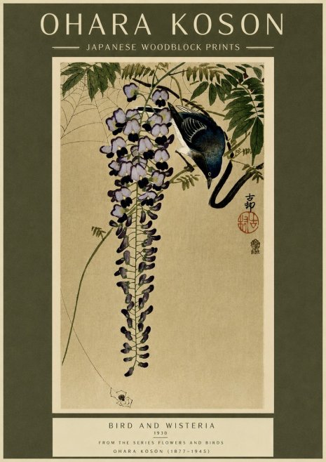 Ohara Koson Bird and Wisteria No6 - Plakat