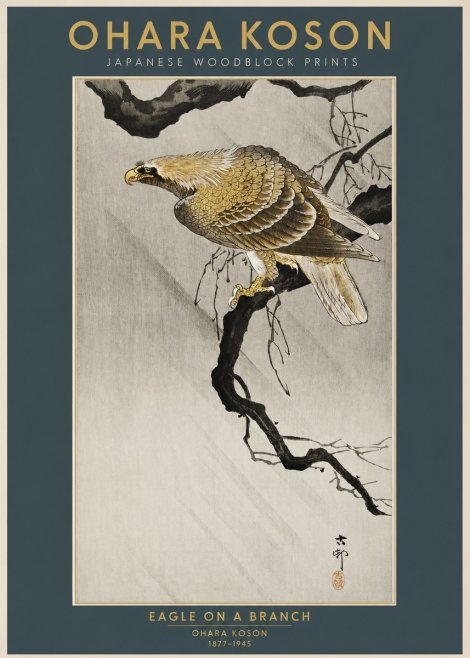 Ohara Koson Eagle on a Branch No2 - Plakat