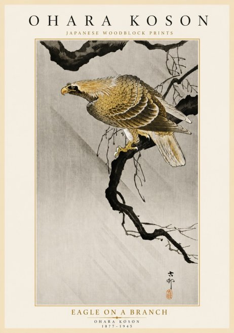 Ohara Koson Eagle on a Branch No5 - Plakat