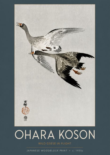 Ohara Koson Wild Geese in Flight III No2 - Plakat