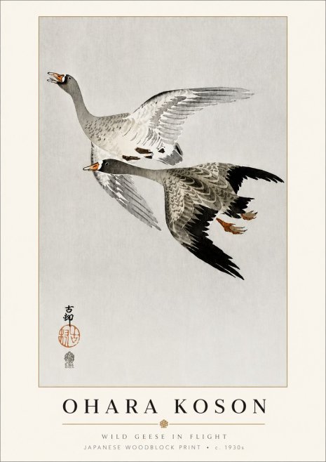 Ohara Koson Wild Geese in Flight III No3 - Plakat