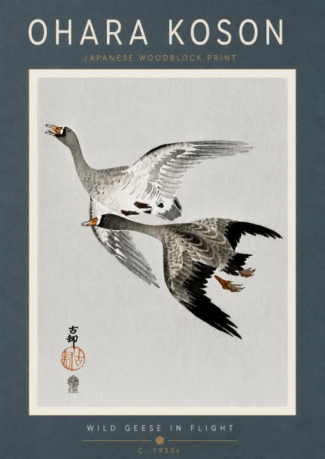 Ohara Koson Wild Geese in Flight III No6 - Plakat