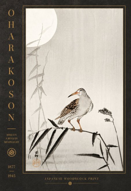 Ohara Koson Bird on a Reed in Moonlight No5 - Plakat