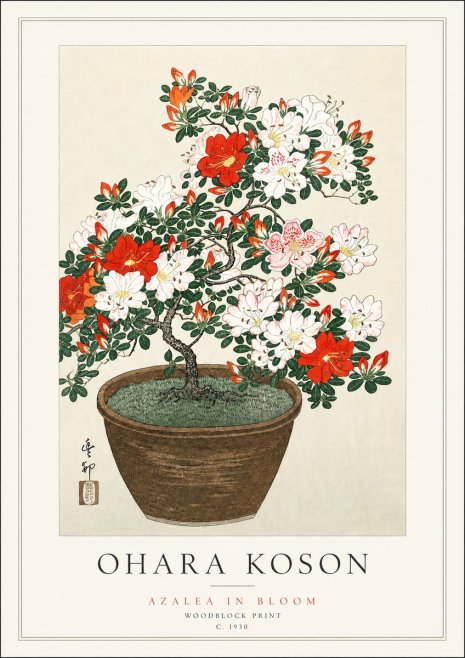 Ohara Koson Azalea in Bloom No3 - Plakat