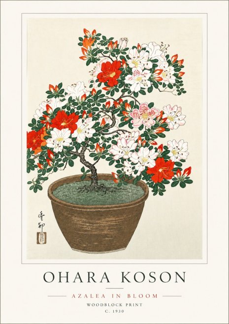 Ohara Koson Azalea in Bloom No6 - Plakat