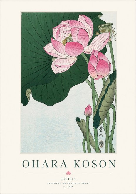Ohara Koson Lotus No1 - Plakat