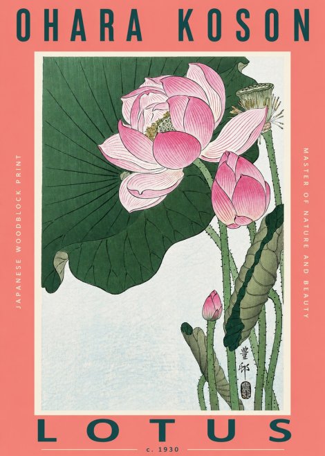 Ohara Koson Lotus II No2 - Plakat