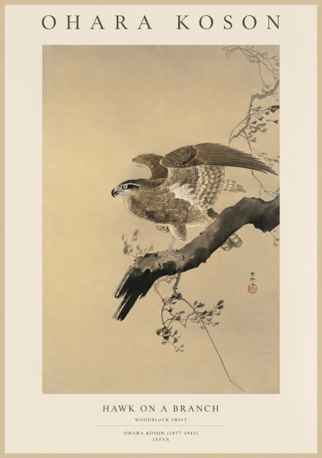Ohara Koson Hawk on a Branch I No1 - Plakat