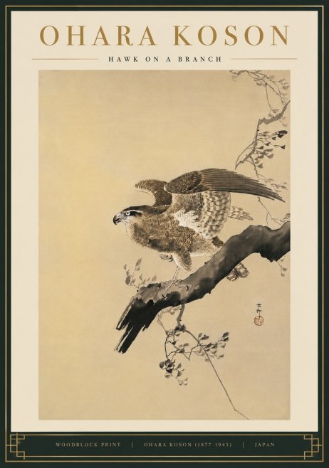 Ohara Koson Hawk on a Branch I No5 - Plakat