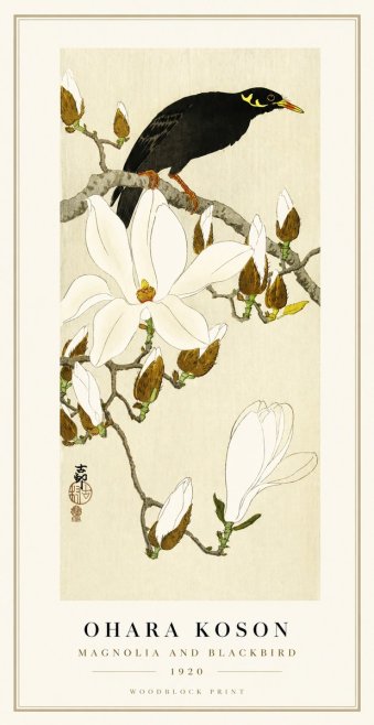 Ohara Koson Magnolia and Blackbird No1 - Plakat