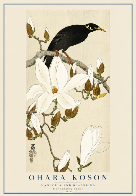 Ohara Koson Magnolia and Blackbird No3 - Plakat