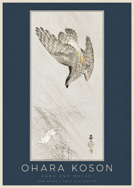Ohara Koson Hawk and Mouse No2 - Plakat