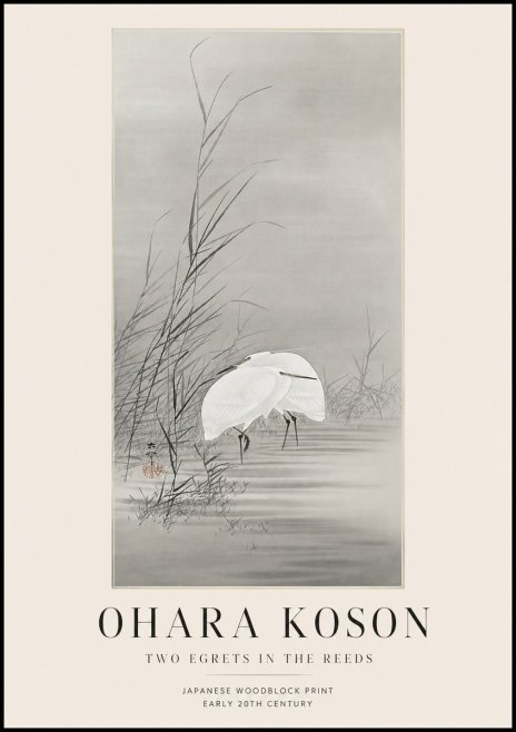 Ohara Koson Two Egrets in the Reeds No1 - Plakat