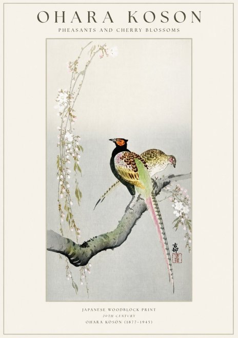 Ohara Koson Pheasants and Cherry Blossoms II No1 - Plakat
