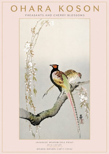 Ohara Koson Pheasants and Cherry Blossoms No3 - Plakat