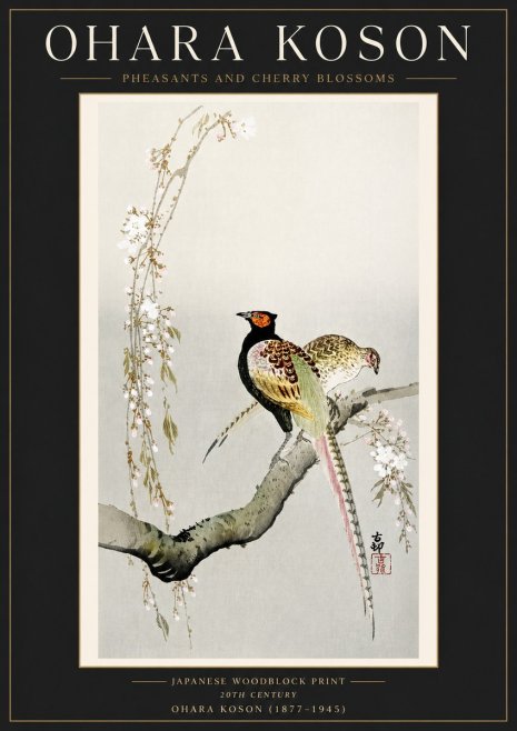 Ohara Koson Pheasants and Cherry Blossoms No4 - Plakat