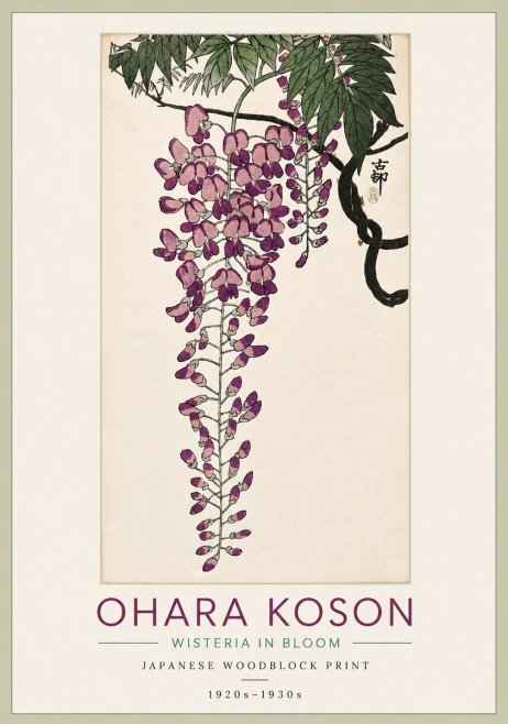 Ohara Koson Wisteria in Bloom No3 - Plakat