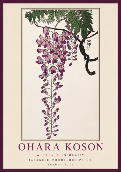 Ohara Koson Wisteria in Bloom No5 - Plakat