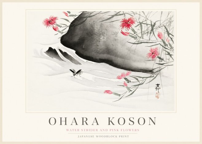 Ohara Koson Water Strider and Pink Flowers No1 - Plakat