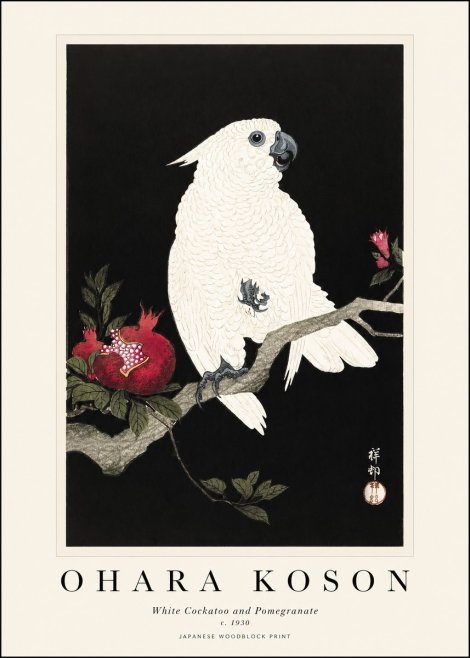Ohara Koson White Cockatoo and Pomegranate No1 - Plakat