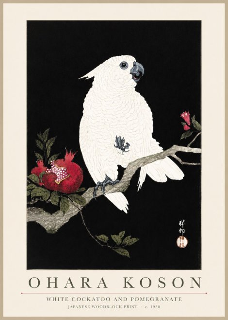 Ohara Koson White Cockatoo and Pomegranate No3 - Plakat