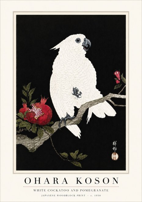 Ohara Koson White Cockatoo and Pomegranate No6 - Plakat