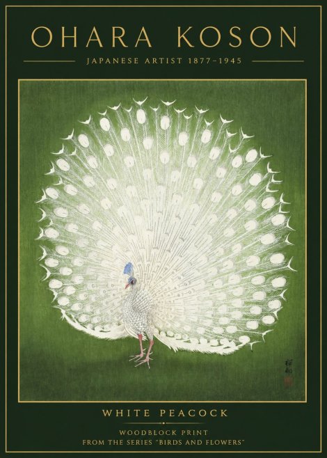 Ohara Koson White Peacock No2 - Plakat