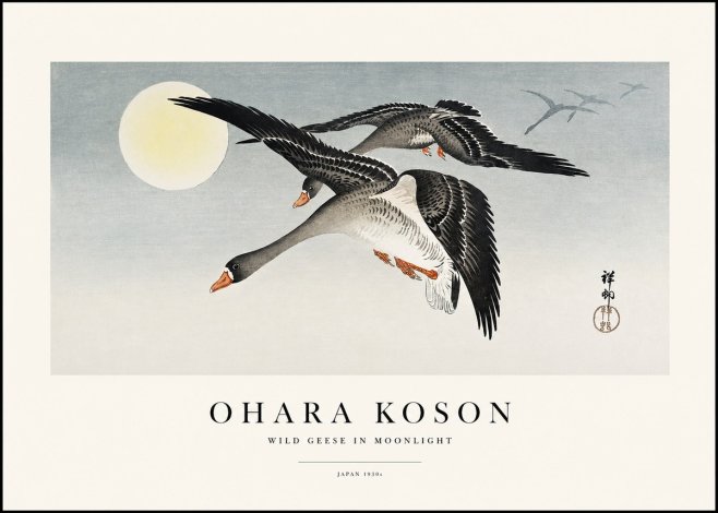 Ohara Koson Wild Geese in Moonlight III No1 - Plakat