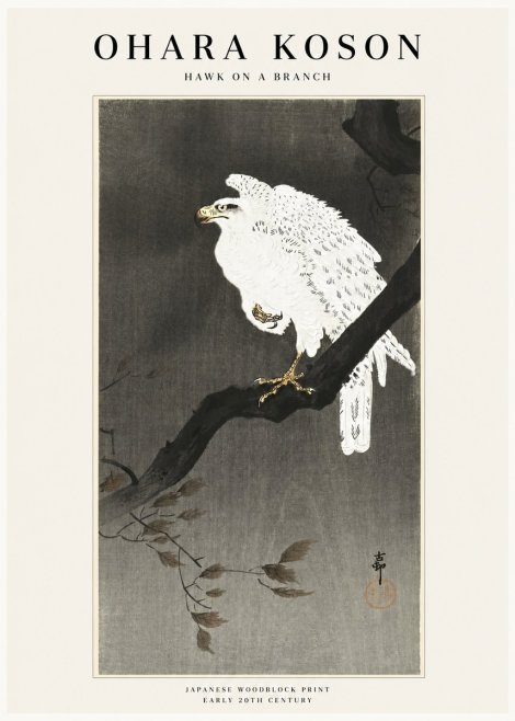 Ohara Koson Hawk on a Branch II No1 - Plakat