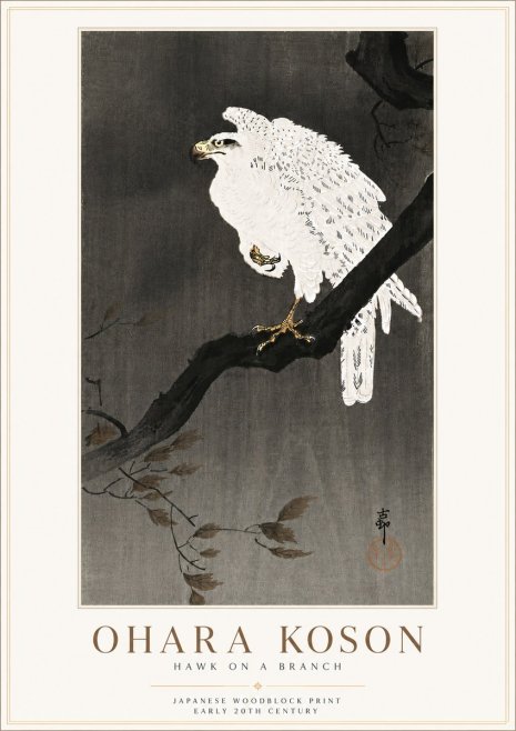 Ohara Koson Hawk on a Branch No6 - Plakat