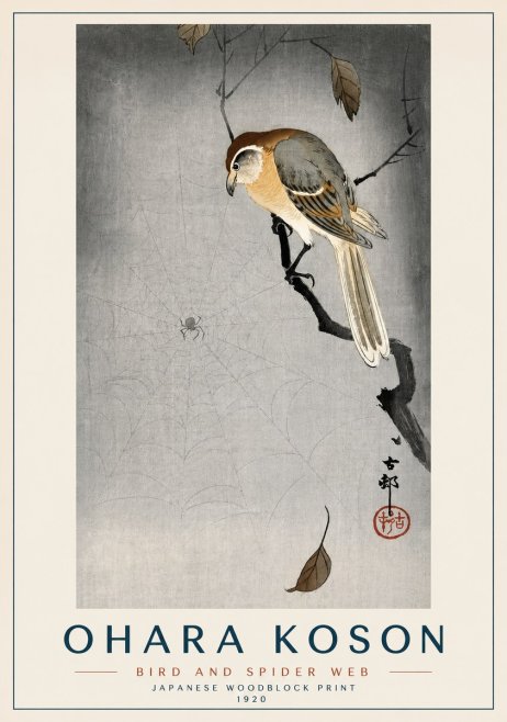 Ohara Koson Bird and Spider Web II No3 - Plakat