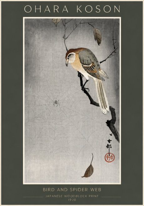 Ohara Koson Bird and Spider Web II No5 - Plakat