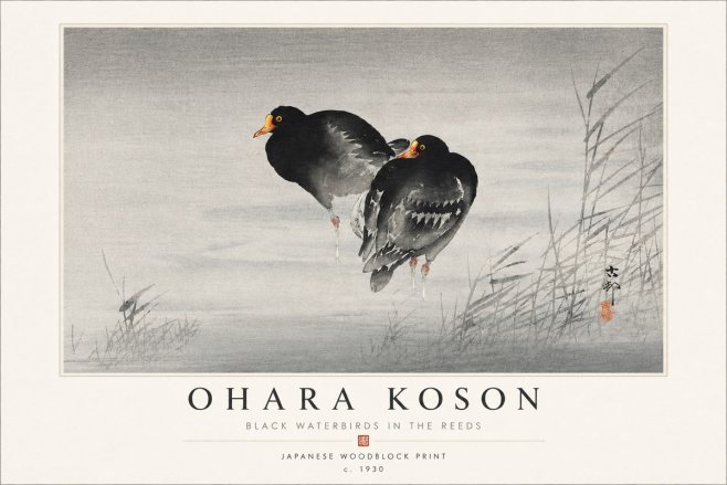 Ohara Koson Black Waterbirds in the Reeds No4 - Plakat