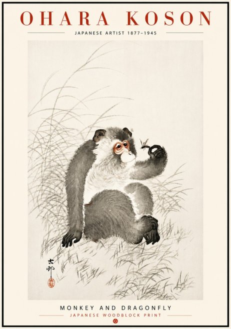 Ohara Koson Monkey and Dragonfly No6 - Plakat