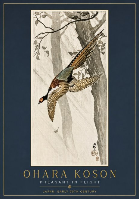 Ohara Koson Pheasant in Flight No5 - Plakat
