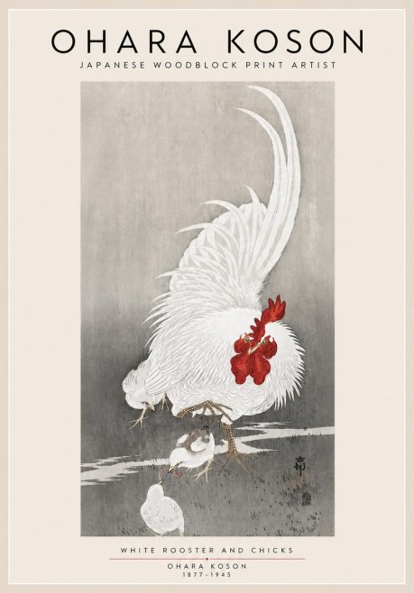 Ohara Koson White Rooster and Chicks No3 - Plakat
