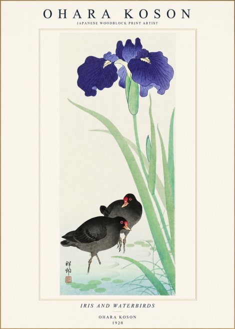 Ohara Koson Iris and Waterbirds No1 - Plakat