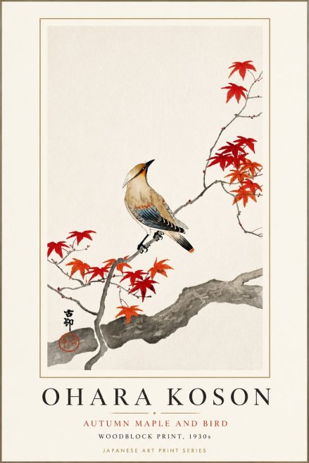 Ohara Koson Autumn Maple and Bird No3 - Plakat