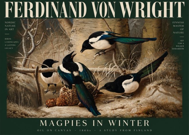 Ferdinand von Wright Magpies in Winter No5 - Plakat