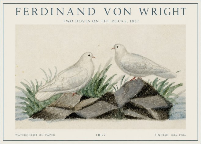 Ferdinand von Wright Two Doves on the Rocks, 1837 No1 - Plakat