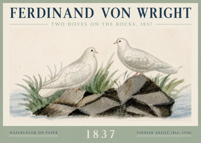 Ferdinand von Wright Two Doves on the Rocks, 1837 No3 - Plakat