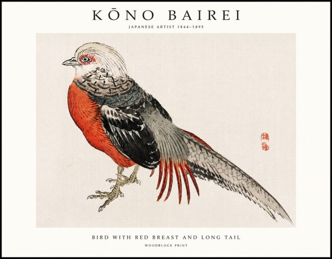 Kōno Bairei Bird with Red Breast and Long Tail No1 - Plakat