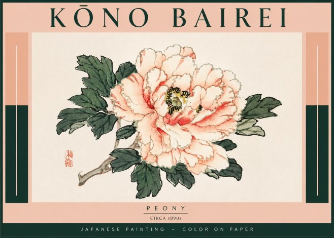Kōno Bairei Peony No4 - Plakat