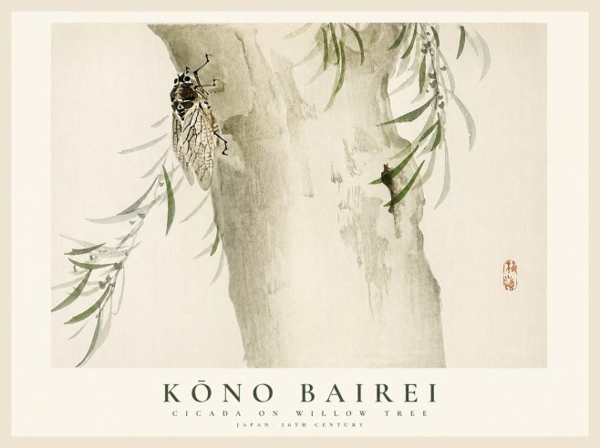 Kōno Bairei Cicada on Willow Tree No1 - Plakat