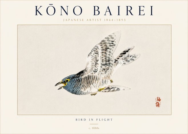 Kōno Bairei Bird in Flight No5 - Plakat
