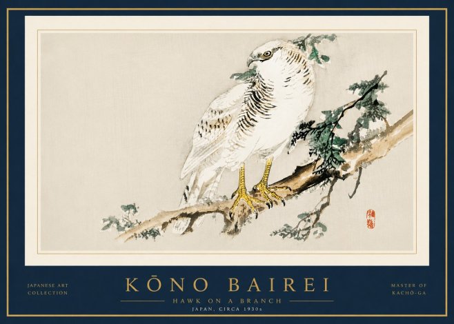 Kōno Bairei Hawk on a Branch No5 - Plakat