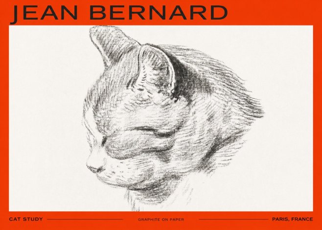 Jean Bernard Cat Study I No2 - Plakat